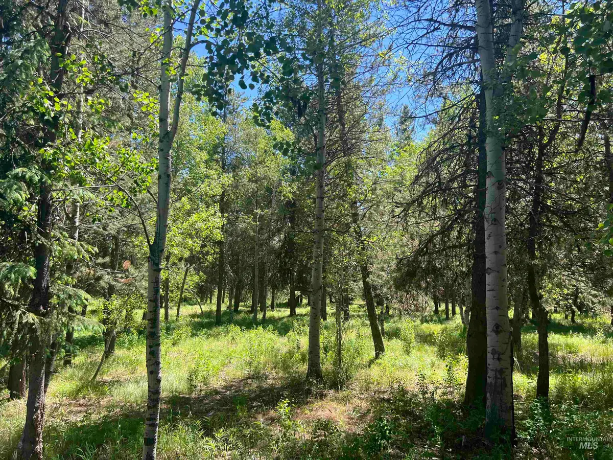 Lot 1 Chad Drive, McCall, ID 83638 - #1