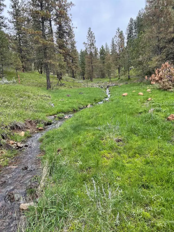 TBD Fruitvale Glendale Rd, Council, ID 83612