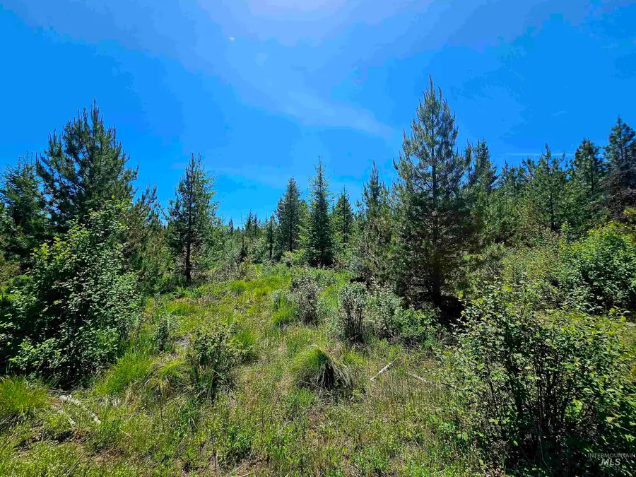 0 Timberline Heights, Parcel 5, Weippe, ID 83553 - #3