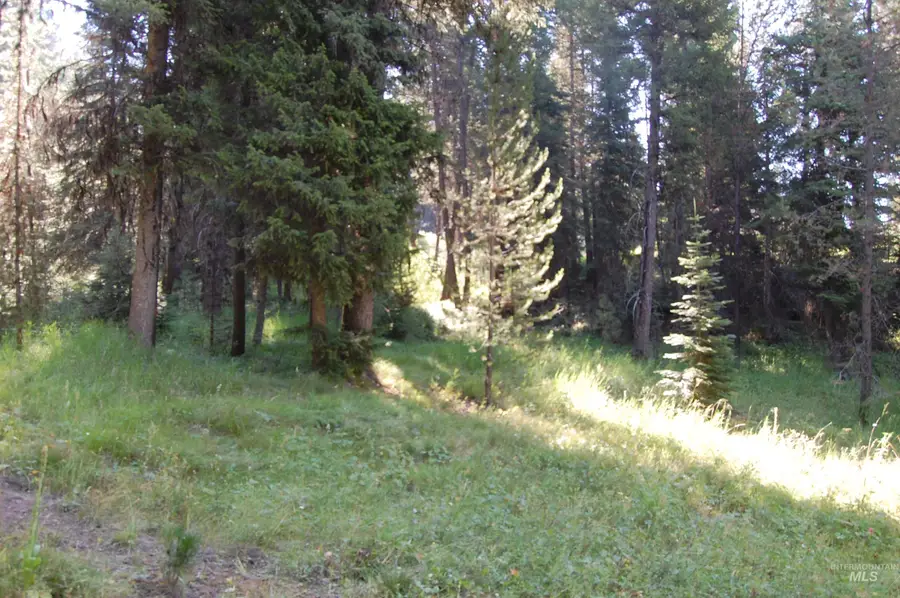 TBD Morell Road, McCall, ID 83638 - #2