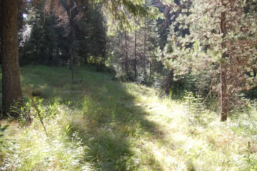 TBD Morell Road, McCall, ID 83638 - #3