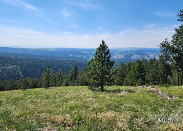Lot 91 Tbd Pilgrim Ridge Road, White Bird, ID 83554