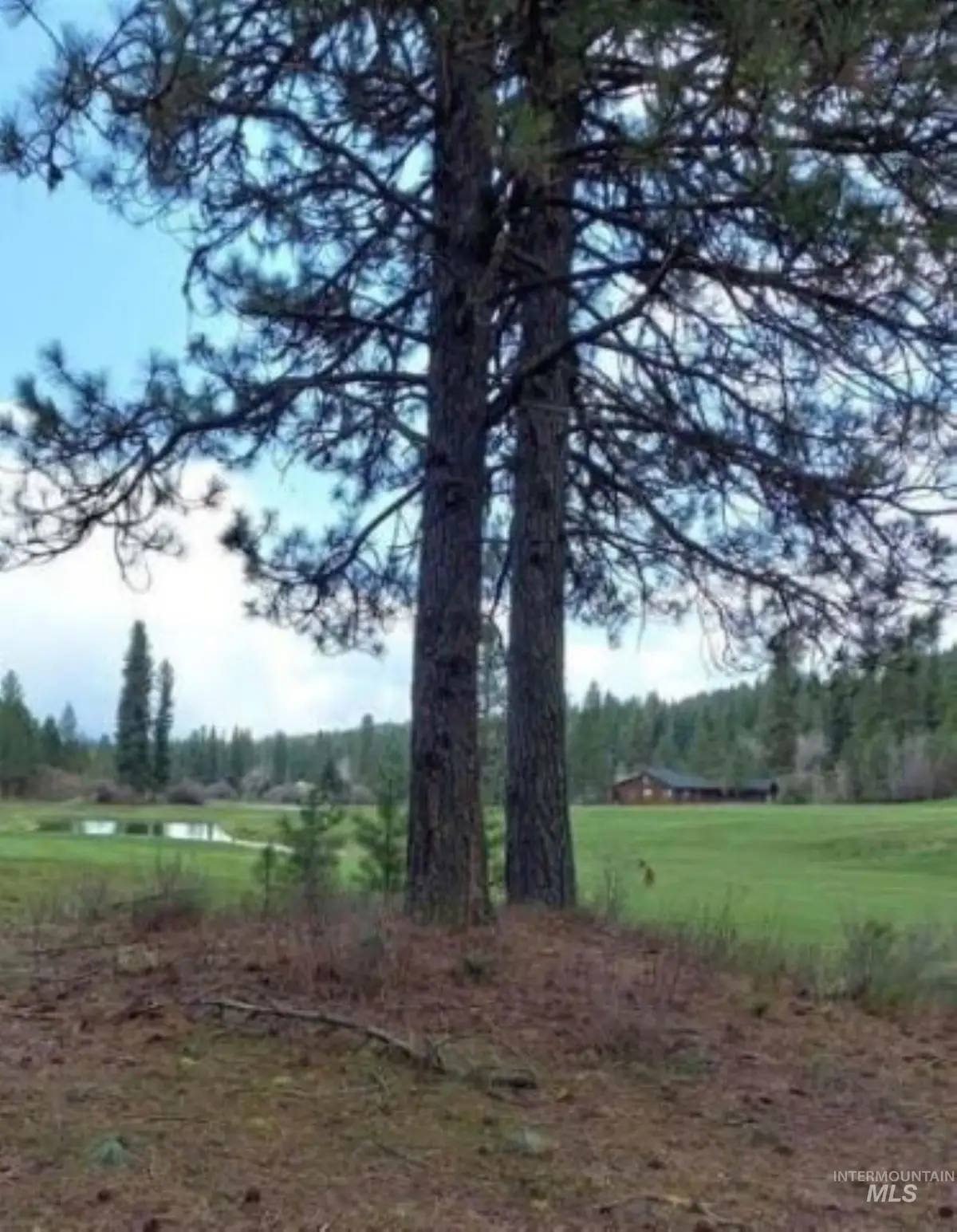 Lt 47 Blk 13 Kimberland Drive, New Meadows, ID 83654 - #1