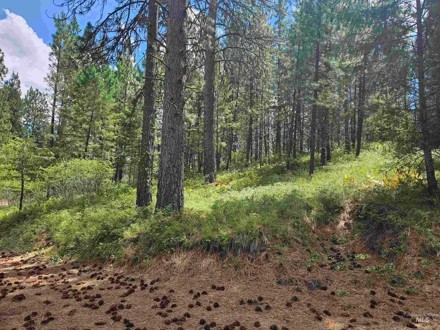 TBD Forest Circle, Boise, ID 83716 - #3