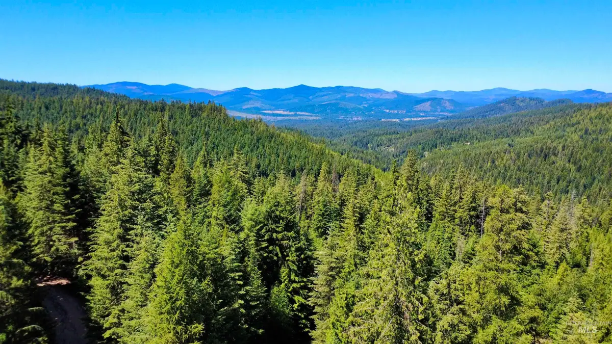 1494 & 1432 N Alpine, Fernwood, ID 83830 - #1