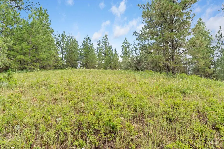 TBD Sunset Trail, Banks, ID 83602 - #3