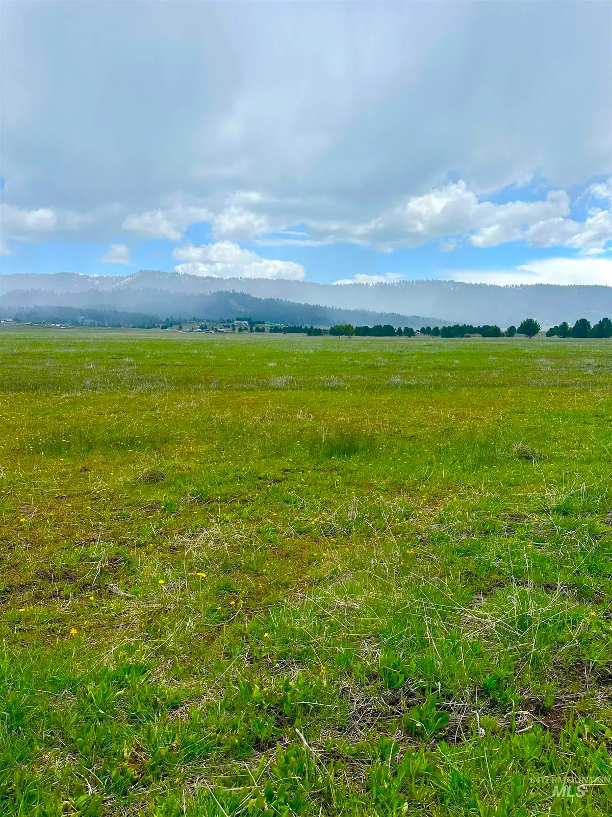 TBA Hwy 55, Cascade, ID 83611 - #1