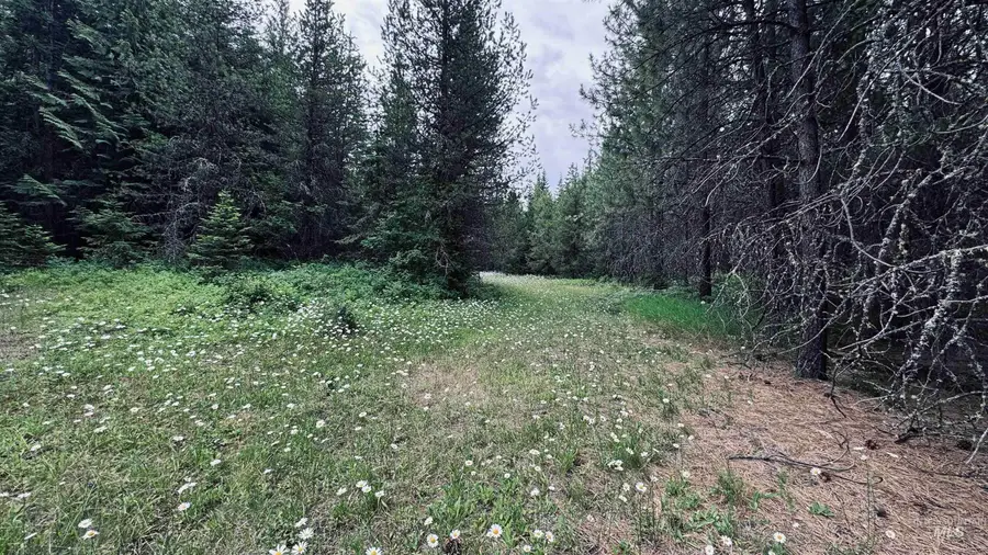 58 Bugling Elk Lane, Weippe, ID 83553 - #2