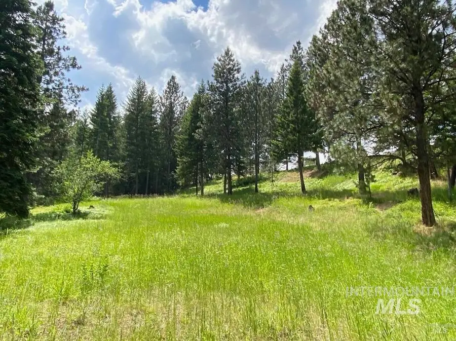 NNA Sangster Rd., Anatone, WA 99401 - #2