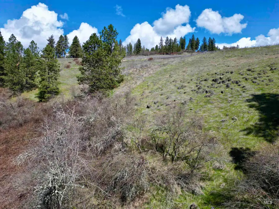 TBD Old Peck Grade, Lenore, ID 83541 - #2