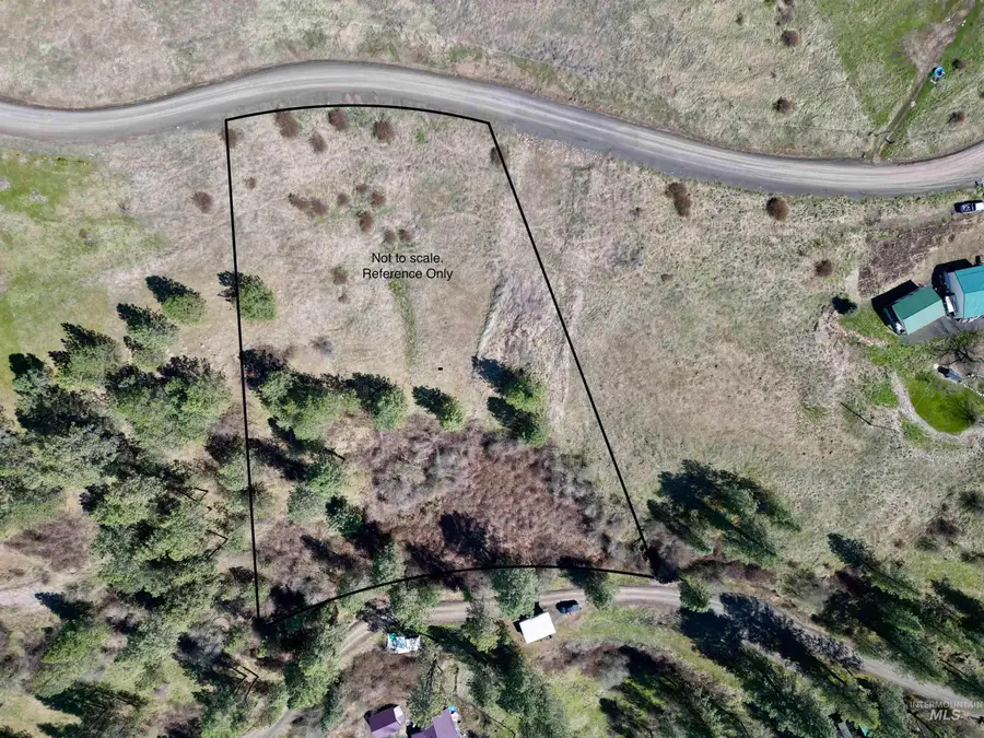 TBD Old Peck Grade, Lenore, ID 83541 - #3