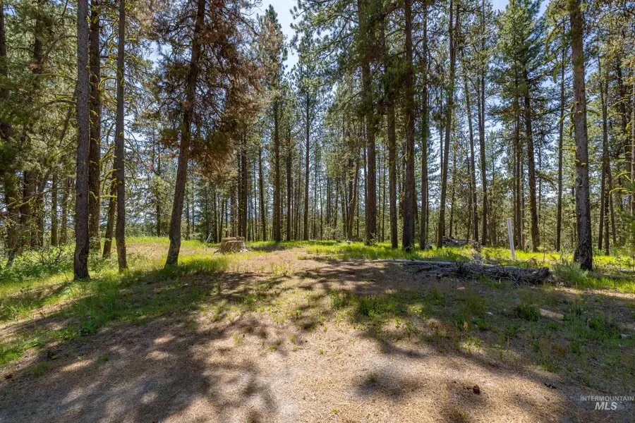21 Huckleberry Place, McCall, ID 83638 - #2