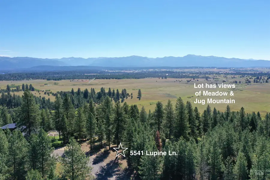 5541 Lupine Lane, McCall, ID 83638 - #2