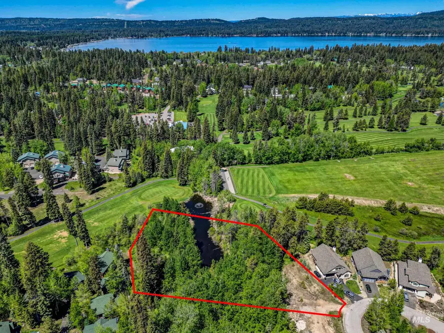 321 Mountain Cove Ct, McCall, ID 83638 - #3