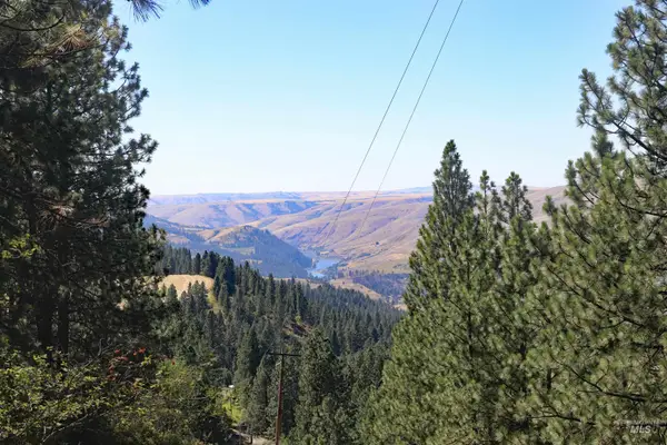 37596 Eberhardt Road, Peck, ID 83545