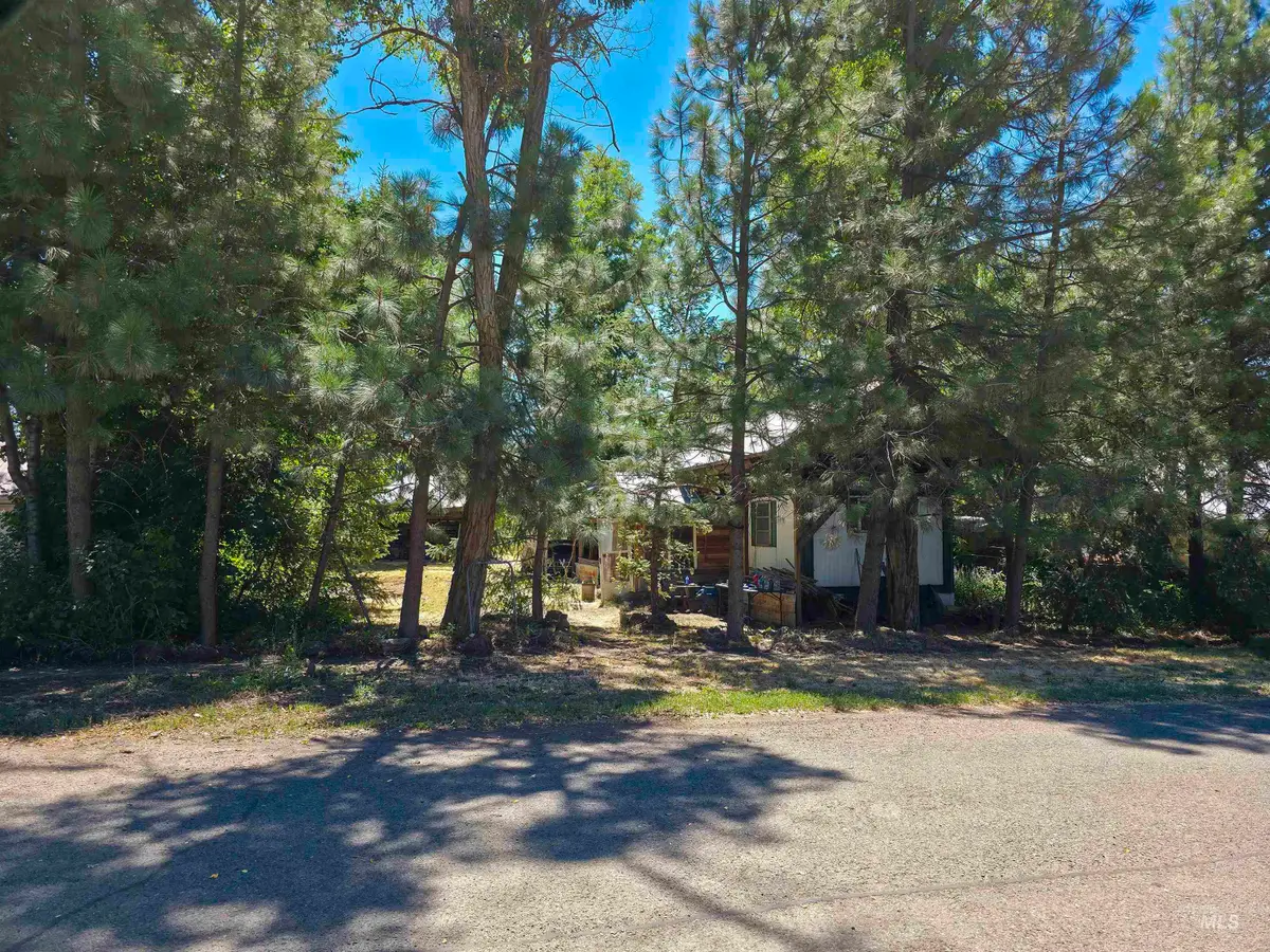 103 1st Ave, Council, ID 83612 - #1