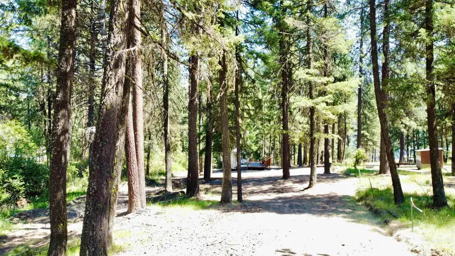 208 Woodland Meadows, Orofino, ID 83544 - #3
