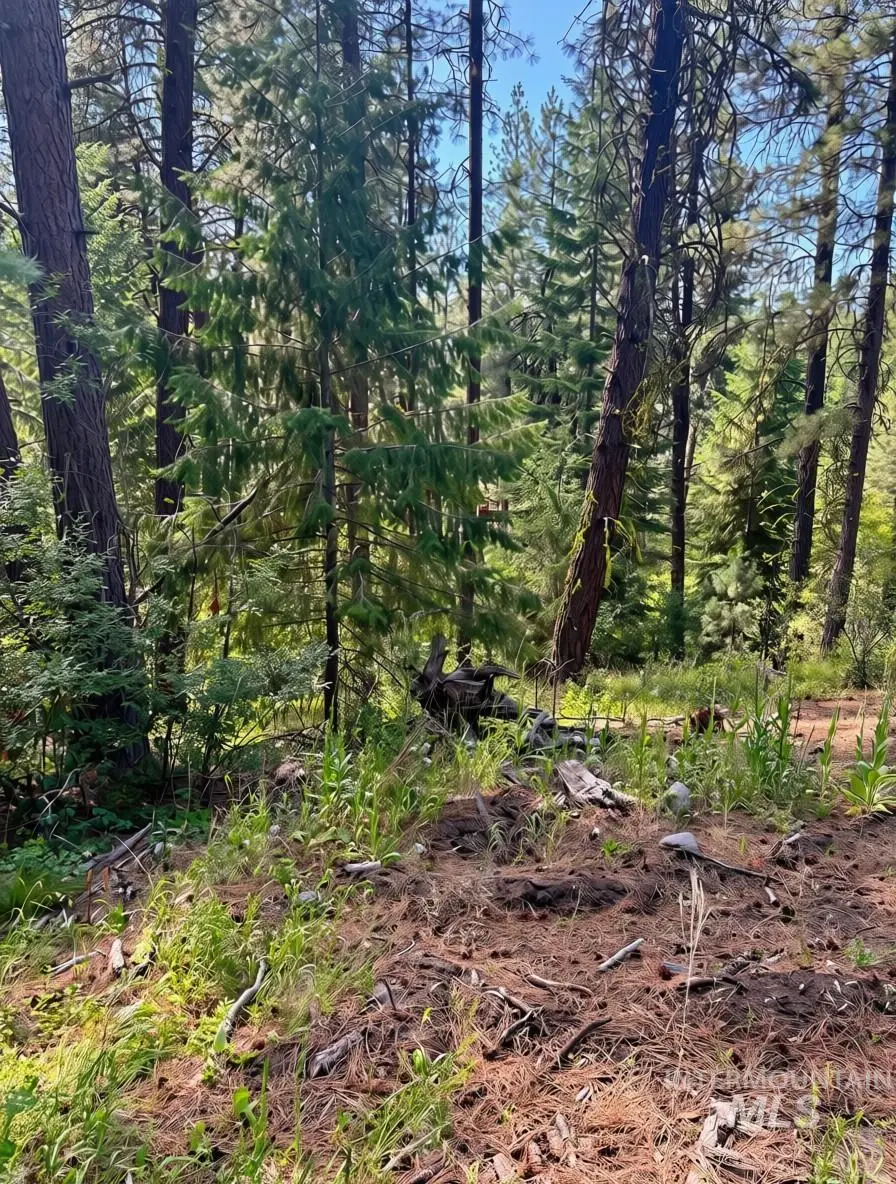 459 Collier View, Cascade, ID 83611 - #2
