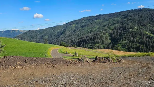 TBD Quiet Hills Lane, Lot 1, Lenore, ID 83541