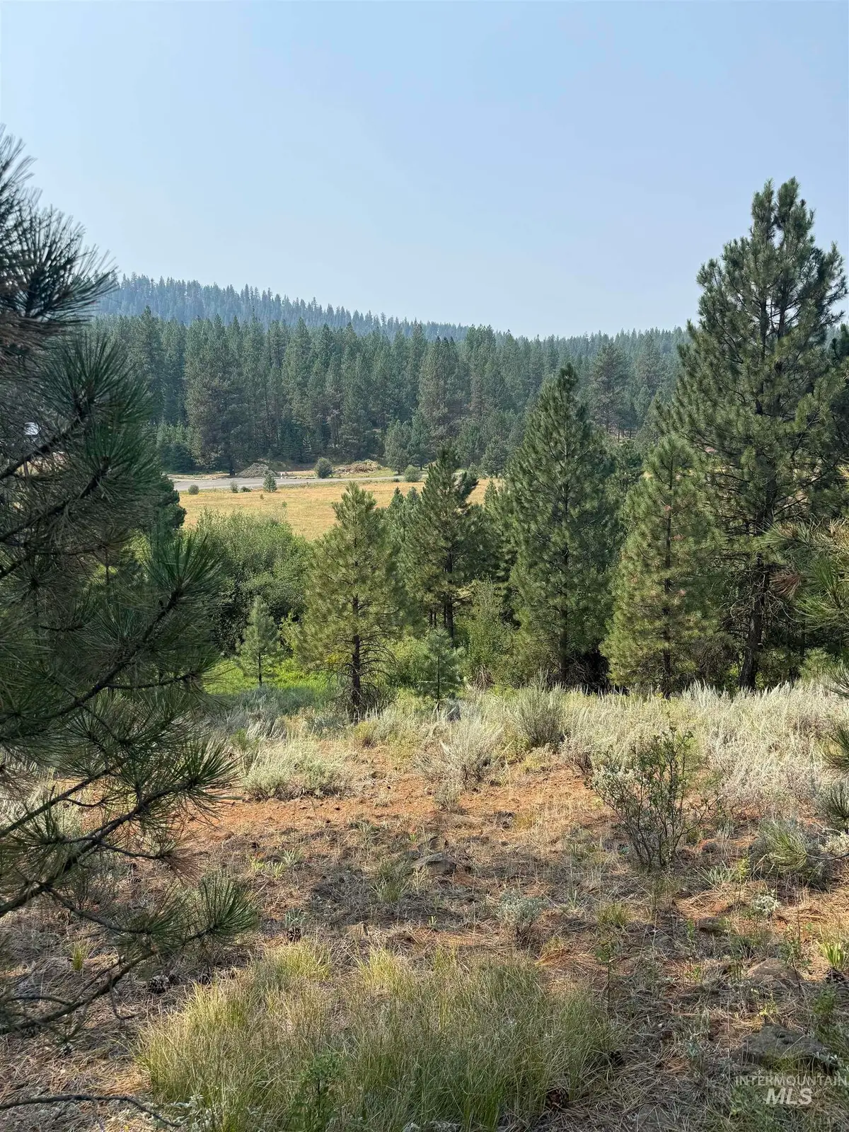 TBD West Pine Drive, New Meadows, ID 83654 - #1