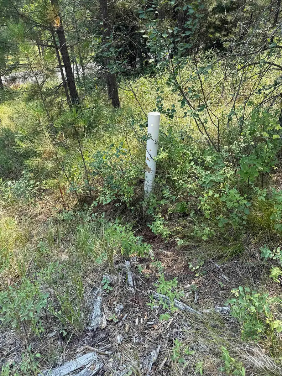 TBD West Pine Drive, New Meadows, ID 83654 - #3