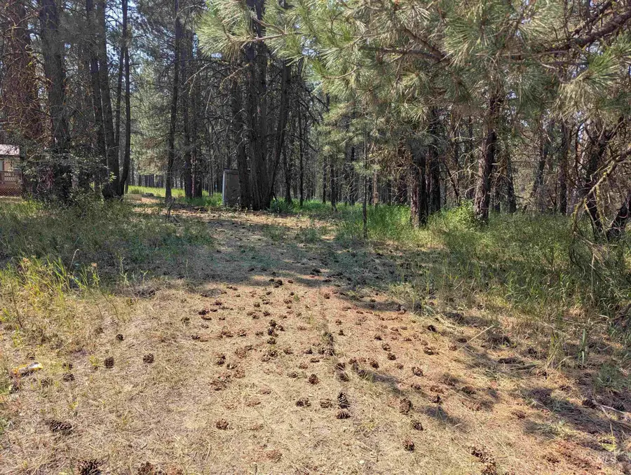 110 E Prospectors Drive, Cascade, ID 83611 - #2