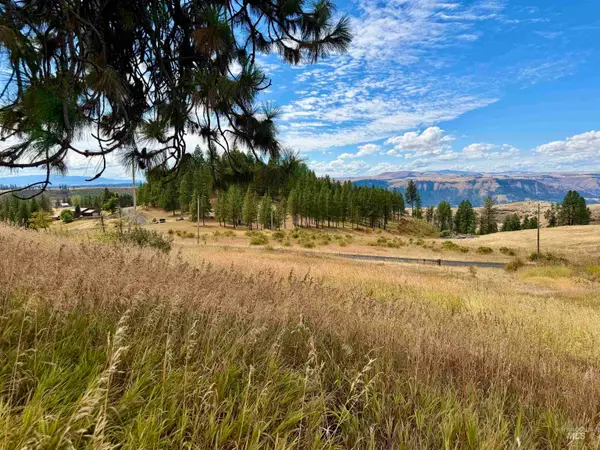 1003 Beaverslide Road, Kamiah, ID 83536