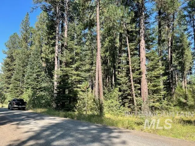 14 Black Bear Subdivision, New Meadows, ID 83654 - #1