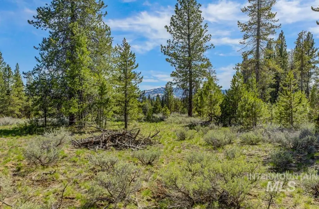 15 Eveningstar Ct, McCall, ID 83638 - #1