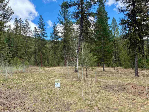31 Vernon Ct, McCall, ID 83638