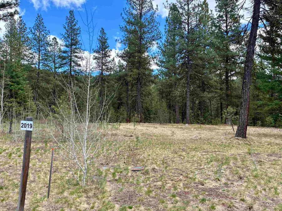 31 Vernon Ct, McCall, ID 83638 - #3
