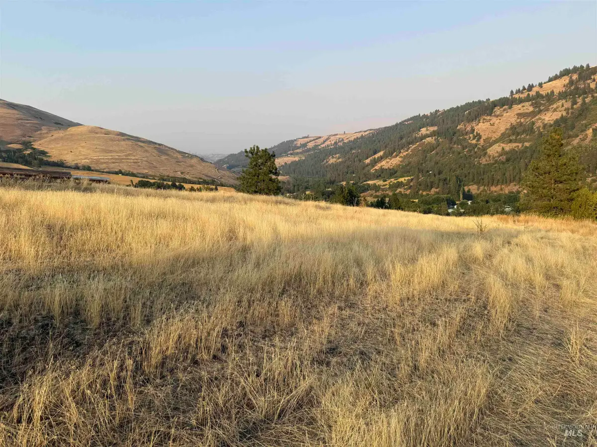 TBD Mccall St, Juliaetta, ID 83535 - #1