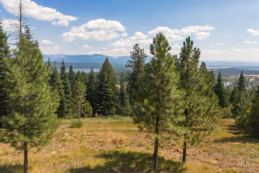 1541 Club Hill Blvd, McCall, ID 83638 - #2