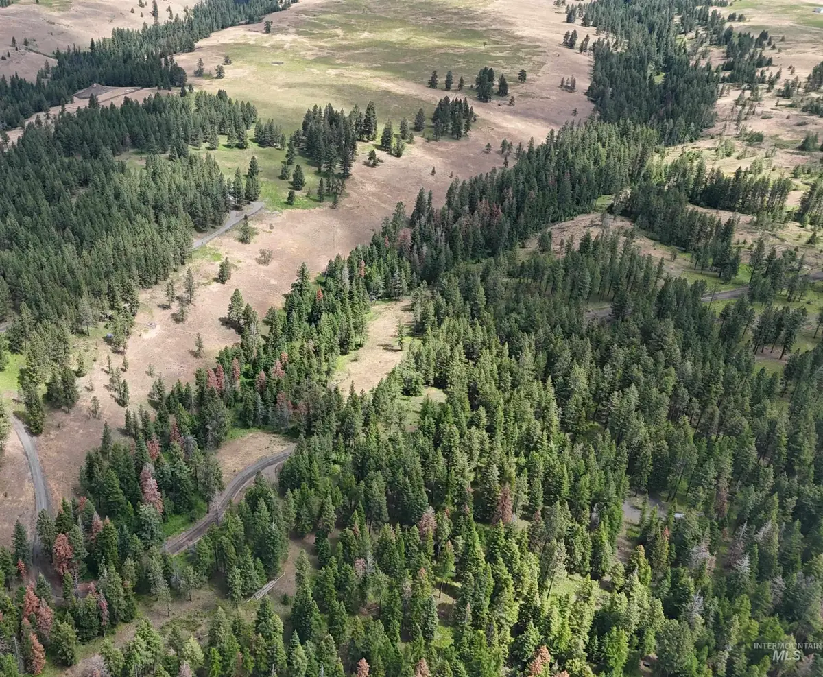 NNA Lots 25 Cloverland Estates, Asotin, WA 99402 - #1