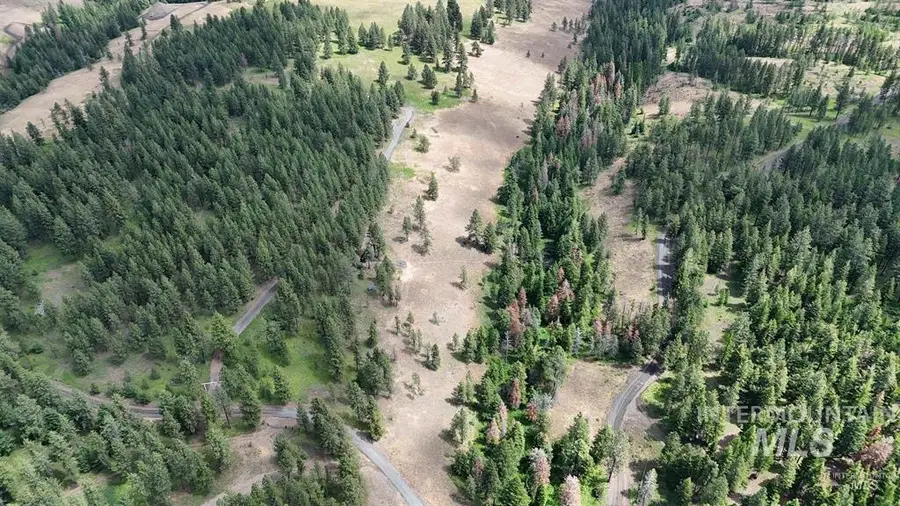 NNA Lots 25 Cloverland Estates, Asotin, WA 99402 - #2