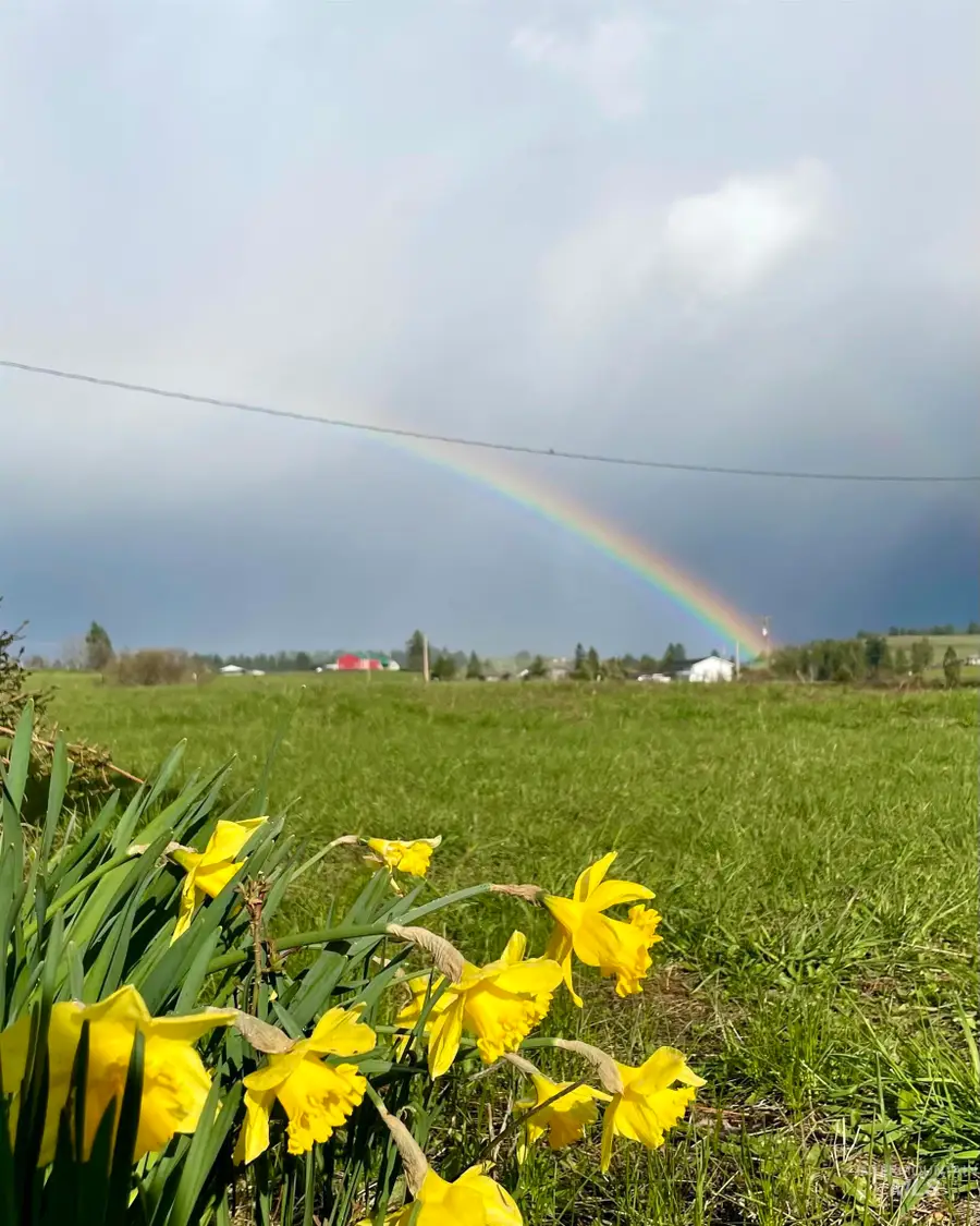 637 Leitch Creek Rd #(+ 5AC Touch of Country Estates), Kooskia, ID 83539 - #3