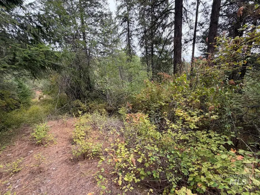 NKA Snowberry Lane Lot 13, Plummer, ID 83851 - #2