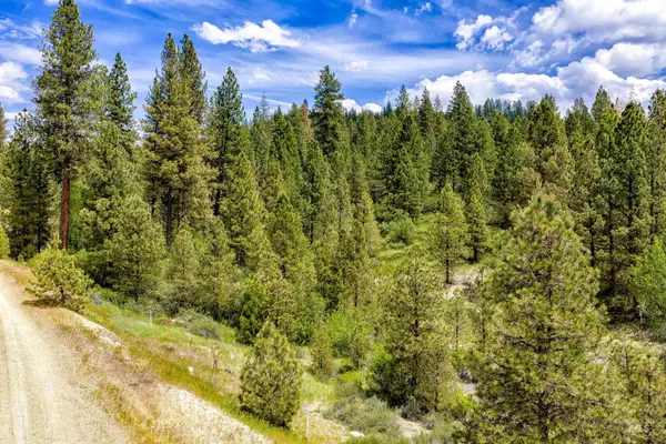 Napias Lot 9, Boise, ID 83716