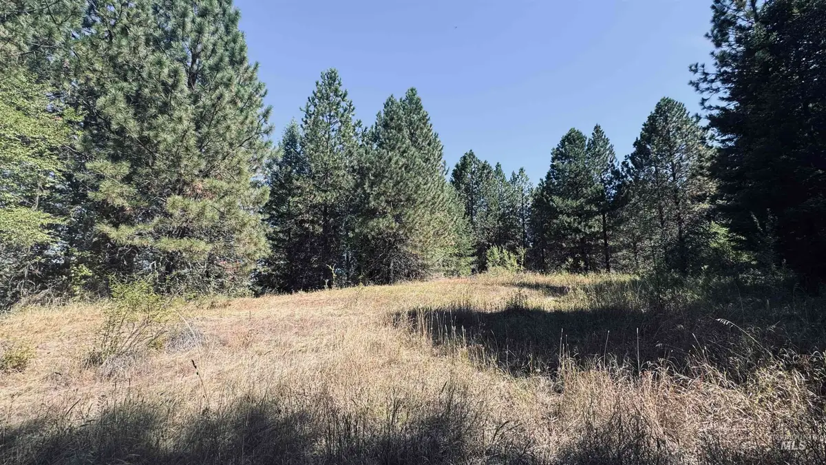TBD Dalton Acres Rd, Clearwater, ID 83552 - #1