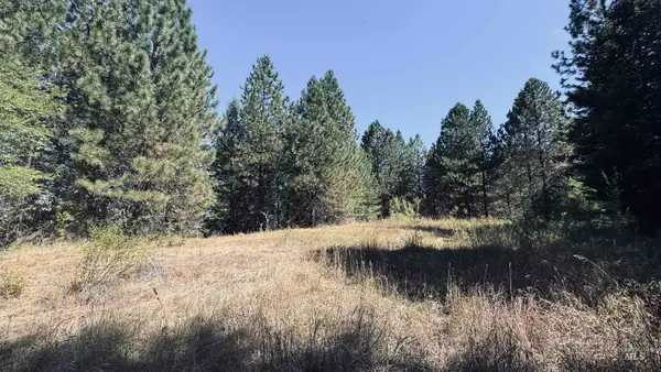 TBD Dalton Acres Rd, Clearwater, ID 83552