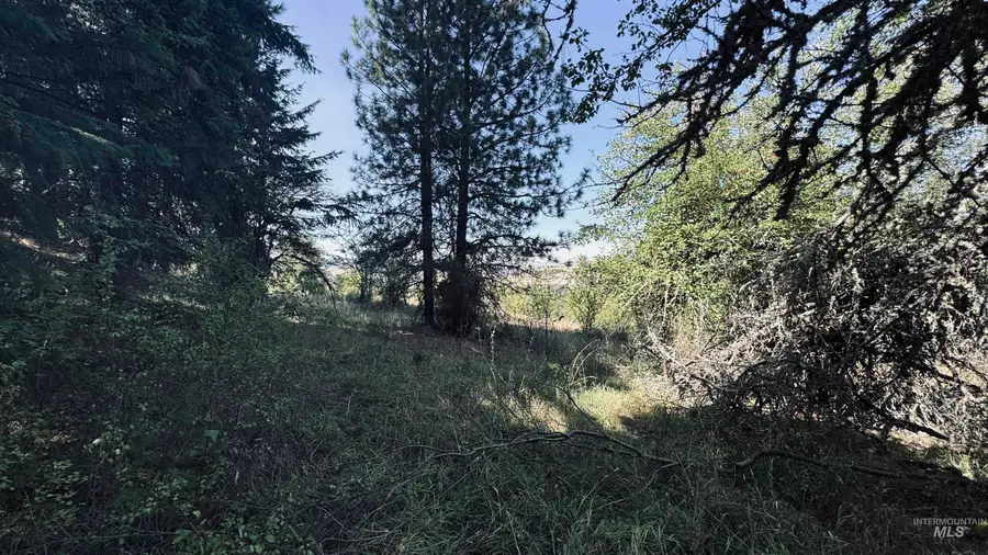 TBD Dalton Acres Rd, Clearwater, ID 83552 - #3