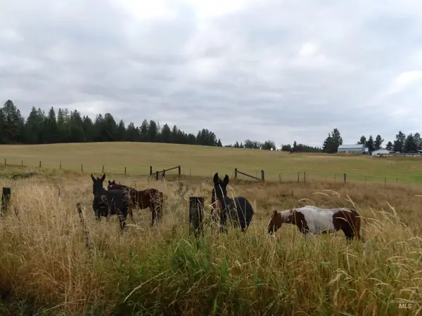 1385 Cottonwood Butte Rd, CottonWood, ID 83522