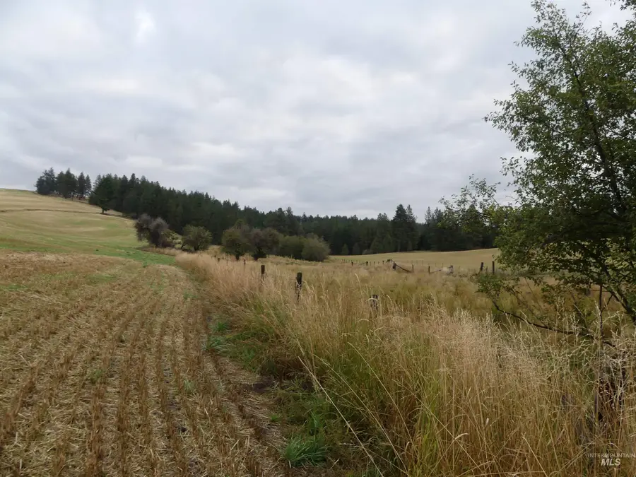 1385 Cottonwood Butte Rd, Cottonwood, ID 83522 - #2