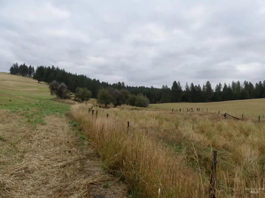 1385 Cottonwood Butte Rd, Cottonwood, ID 83522 - #3
