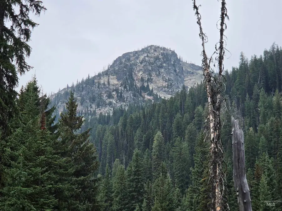 TBD Hump Lake Lot 2, Dixie, ID 83525 - #3
