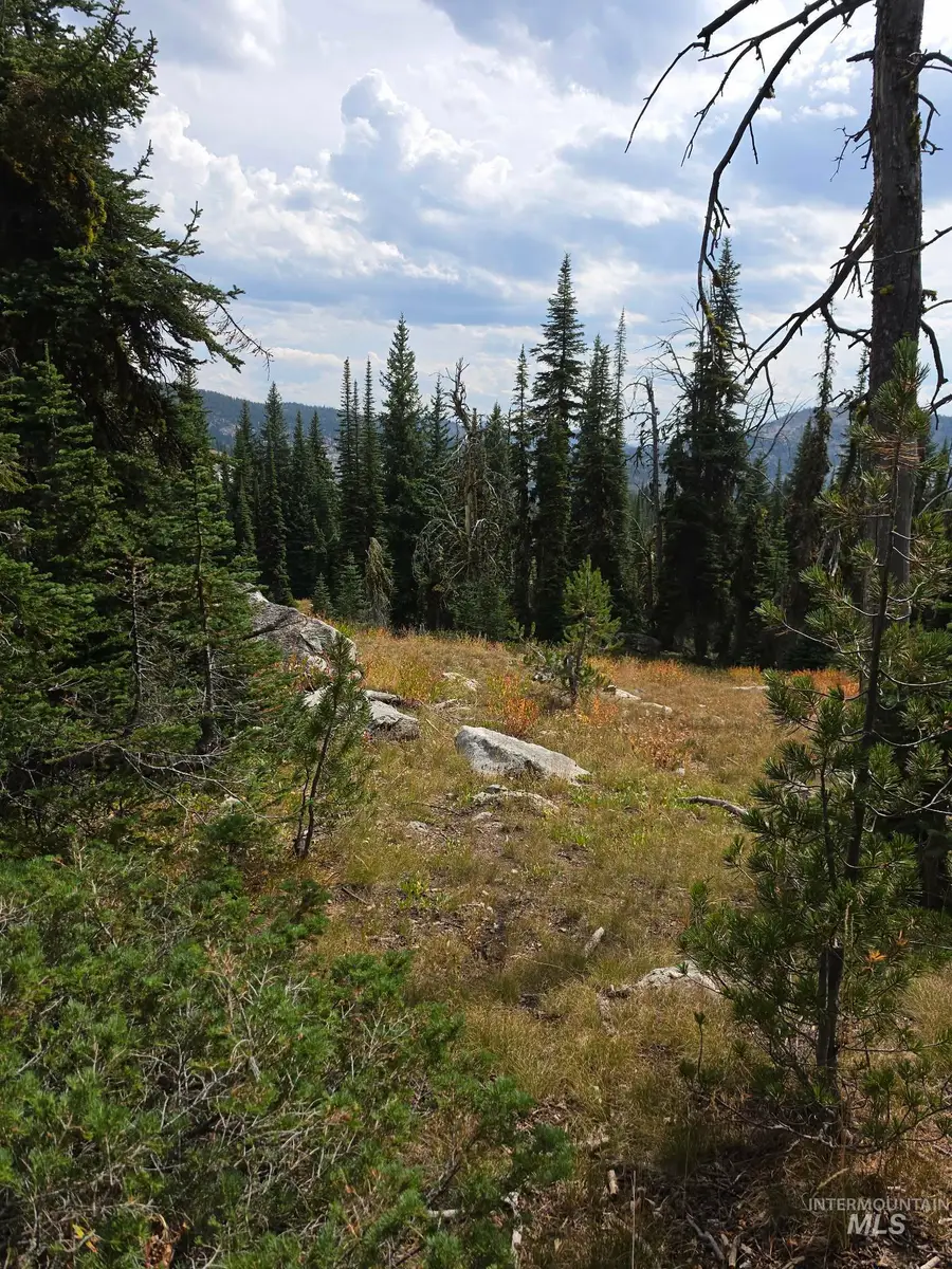 TBD Hump Lake Lot 3, Dixie, ID 83525 - #2
