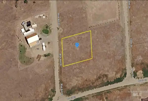 110 Blue Ash Drive, Salmon, ID 83467