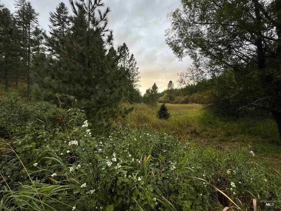TBD Wallen Road, Moscow, ID 83843 - #2