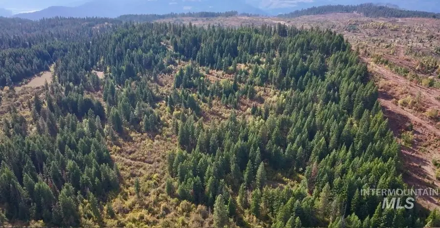 0 Timber Ridge Drive, Orofino, ID 83544 - #2