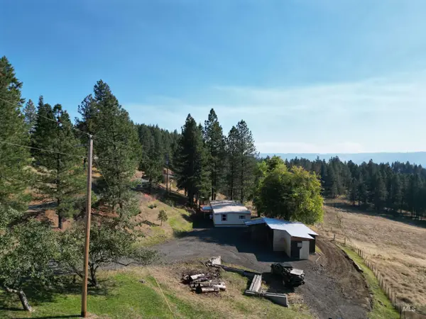 4099 Lakeview Road, Orofino, ID 83544